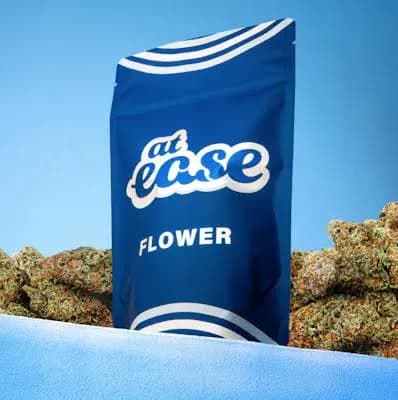 Cap Junky by At Ease