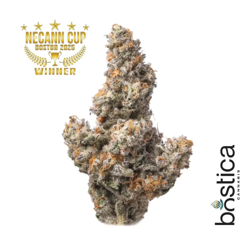 Cap Junky by Bostica