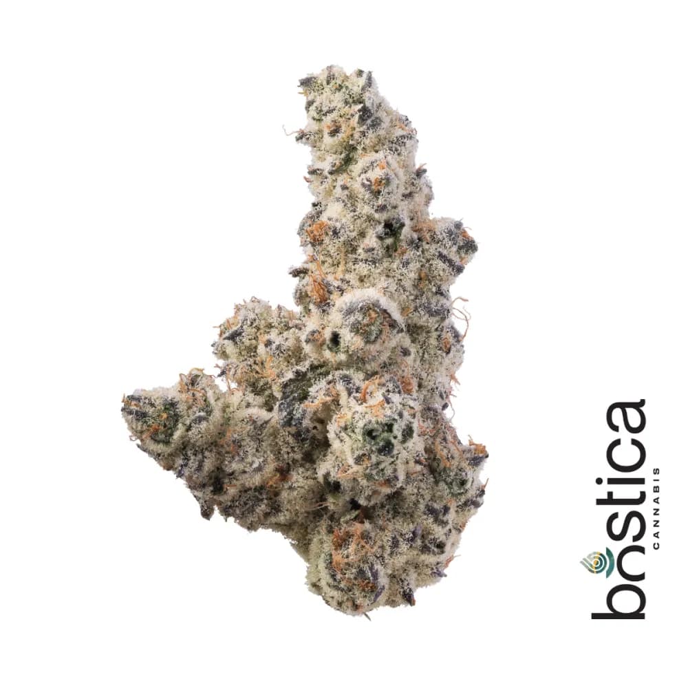Drip by Bostica
