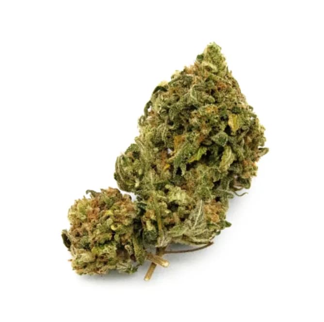 Blaze Berrie by Cannalive