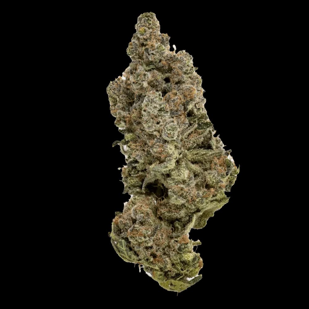 Soleil by Cheech & Chong