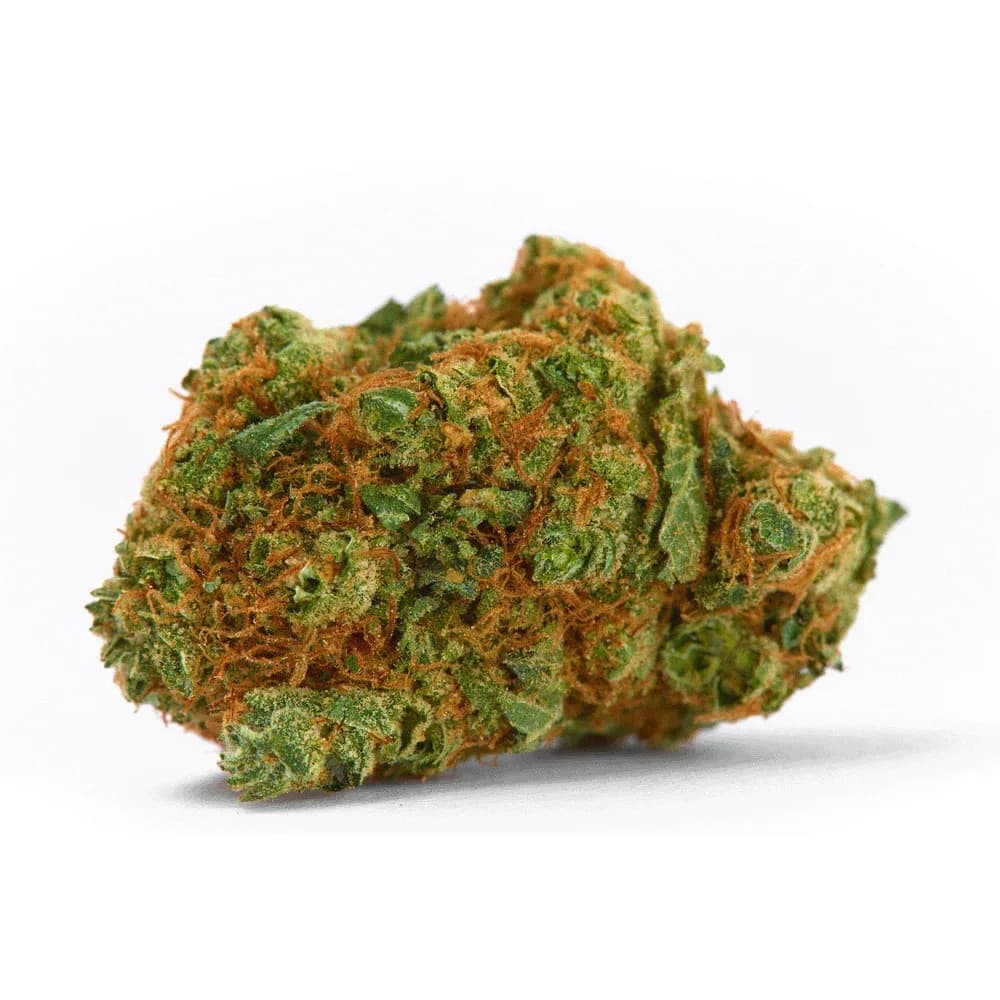 Blueberry Shark by Diem Farms