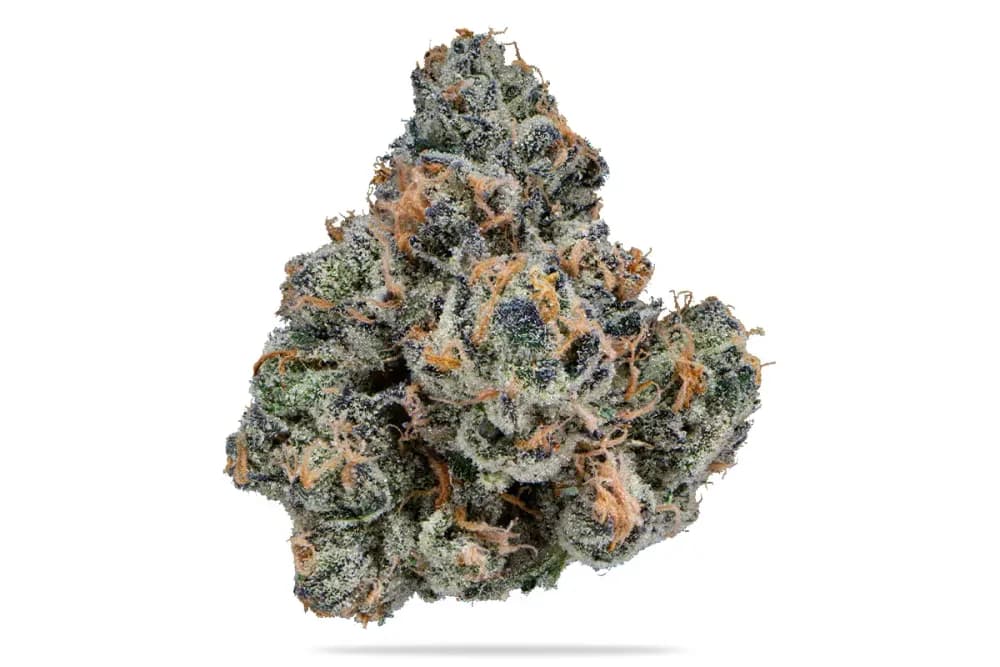 Gastropop by Diem Farms