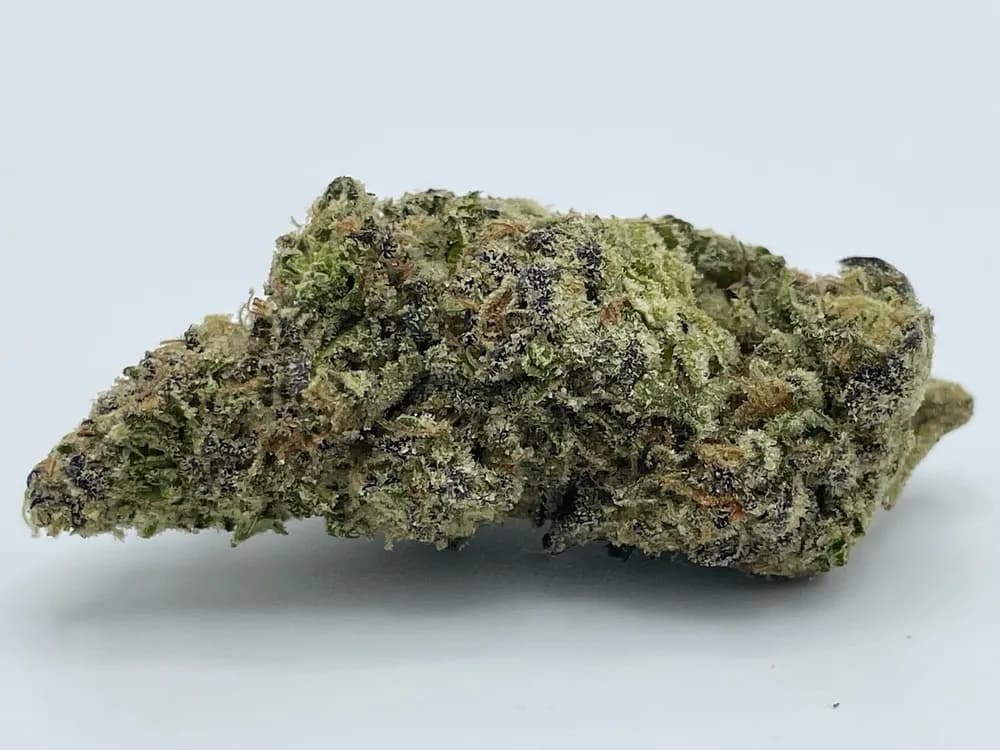 GovernMint Oasis by Diem Farms