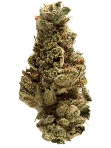 Grapelato by Diem Farms