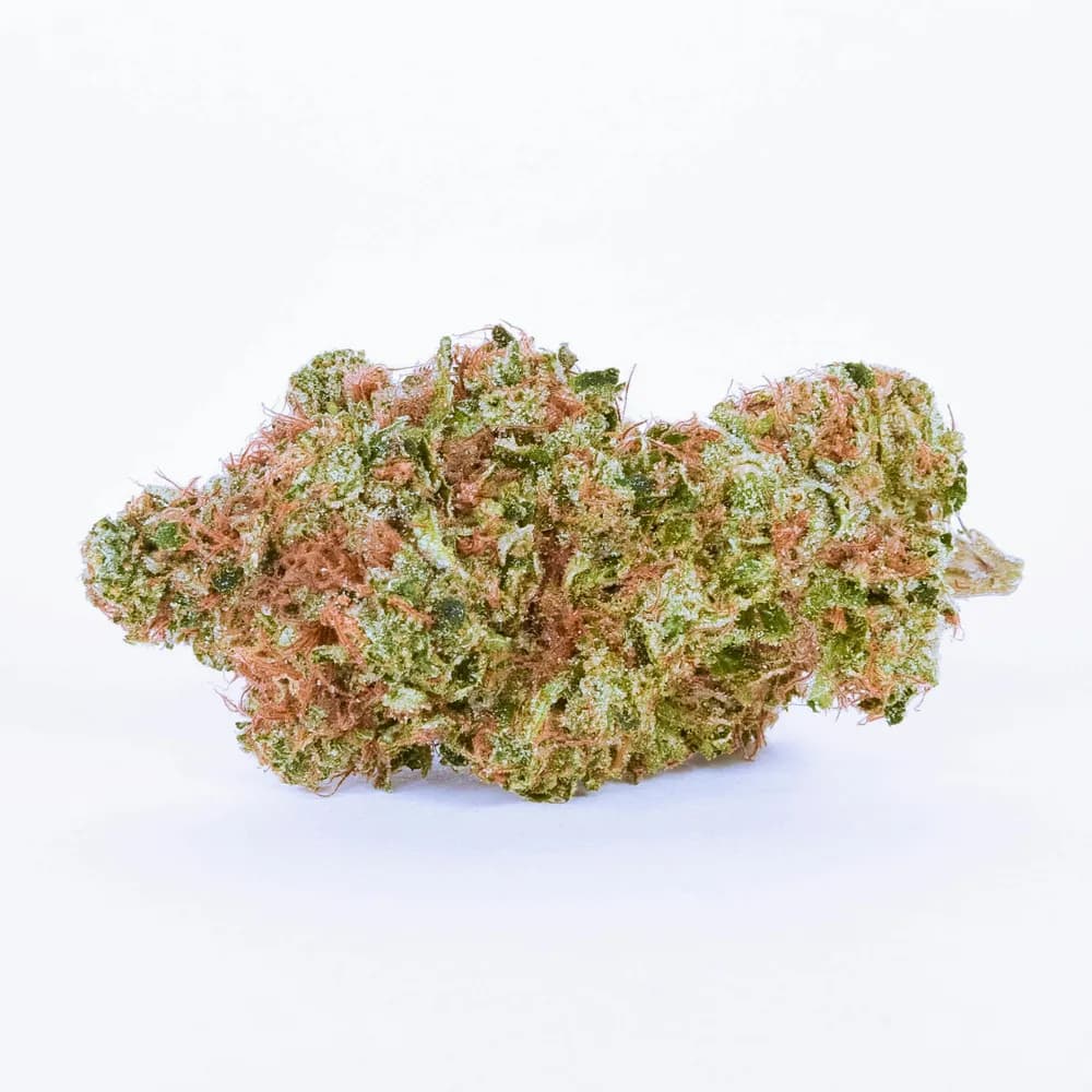 Lemon Sportif by Diem Farms