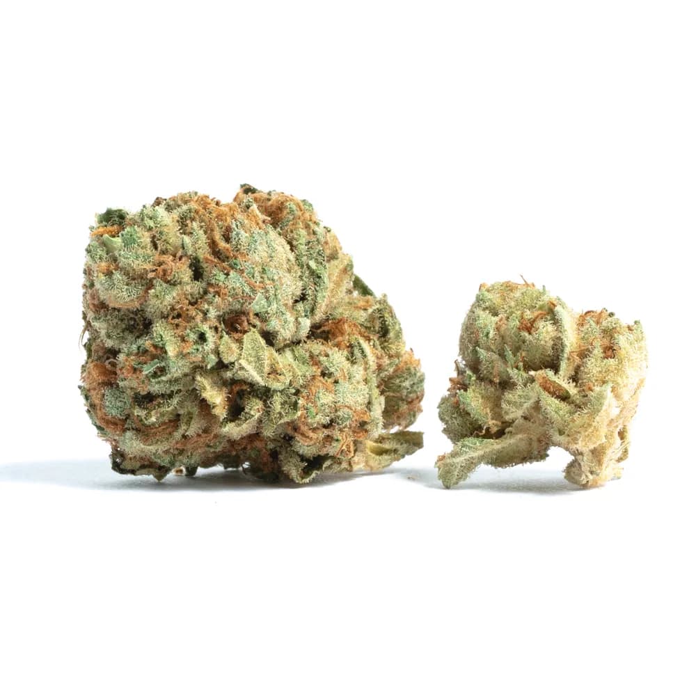 Platinum Gelatti by Diem Farms