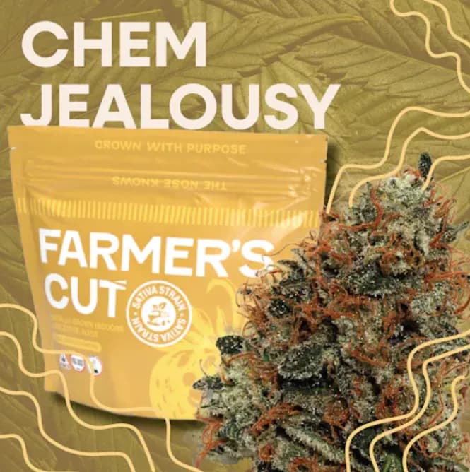 Chem Jealousy by Farmer's Cut, flower