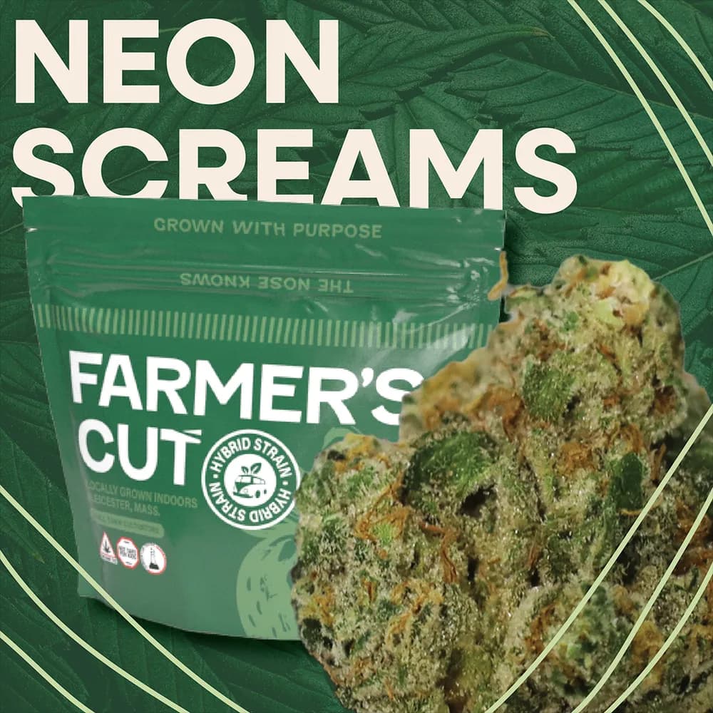 Neon Screams by Farmer's Cut