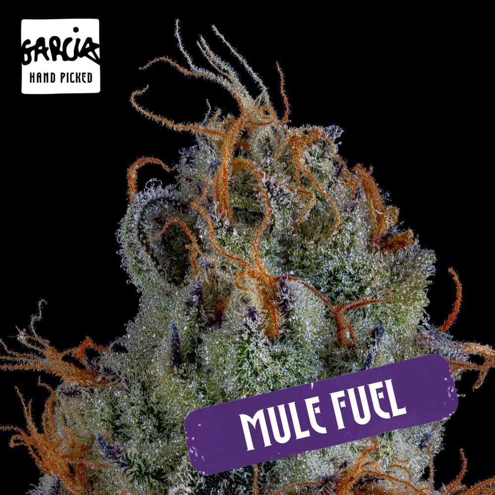 Mule Fuel by Garcia Hand Picked