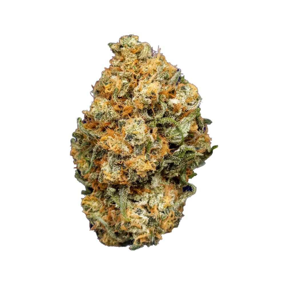 Lemon OG Haze by Gibby's Garden