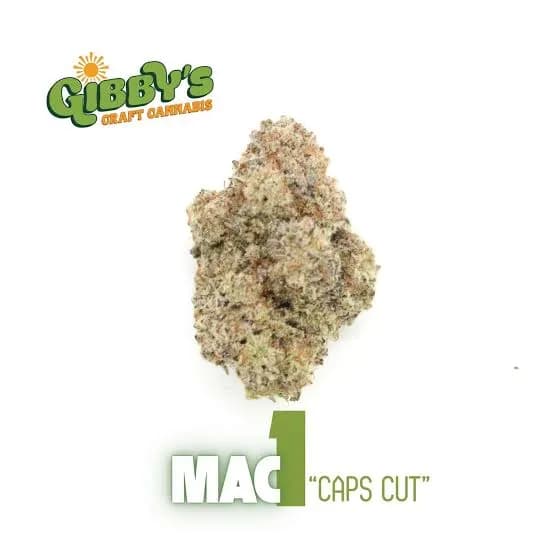 MAC 1 by Gibby's Garden