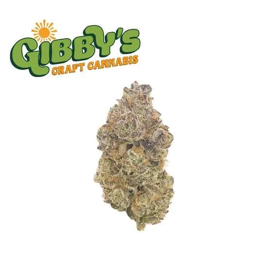 Pink Runtz by Gibby's Garden