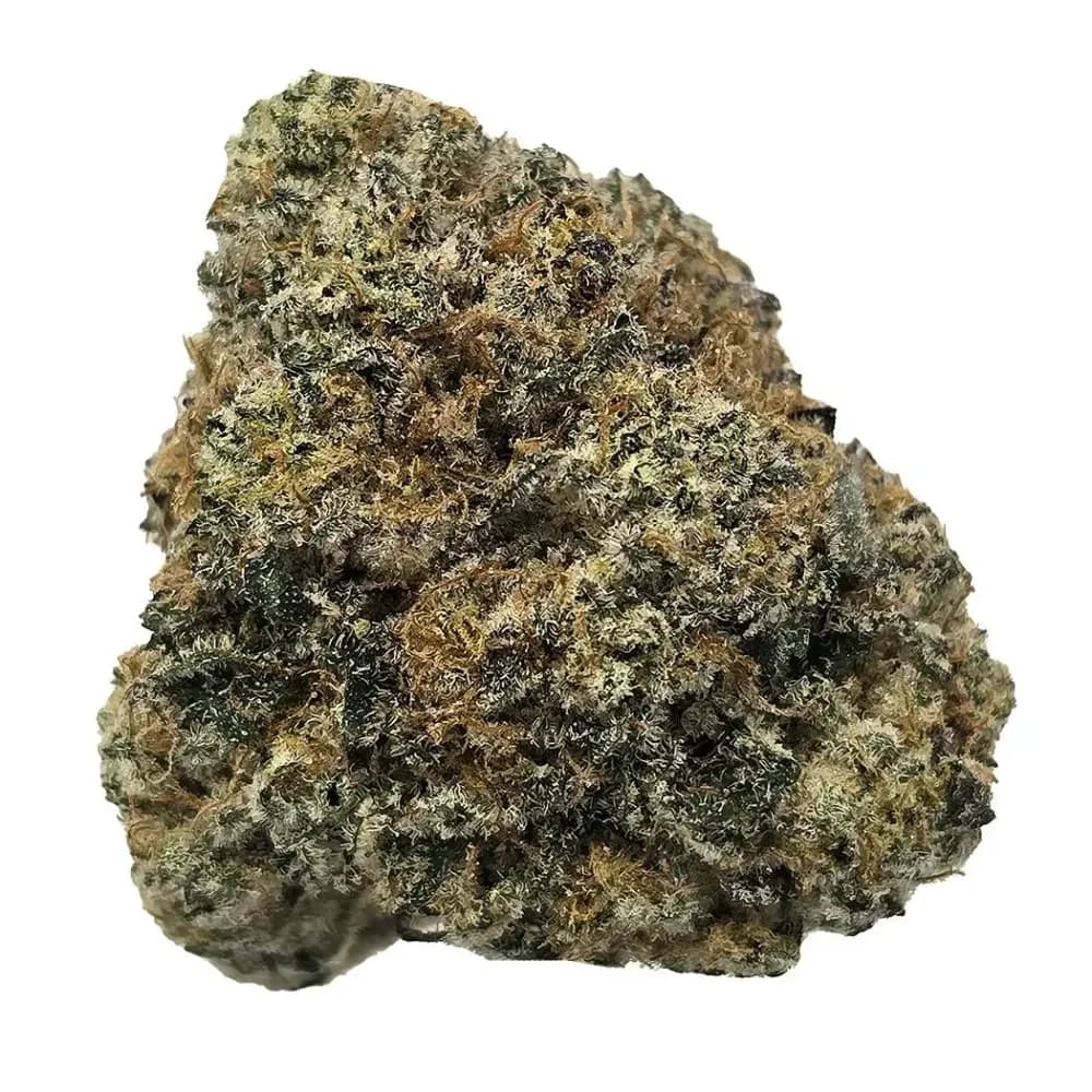 Bananaconda by Good Green