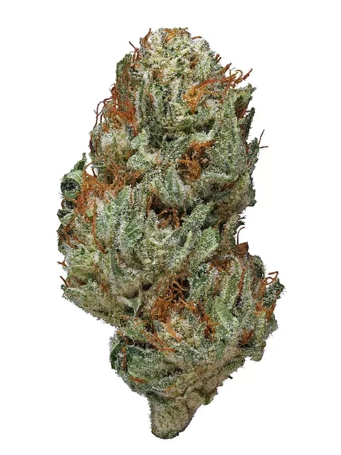 Sugar Shack #5 by Happy Valley