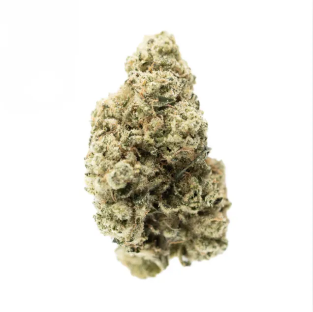 TKO by Harbor House Collective