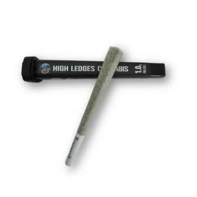 GG4 Pre-roll by High Ledges