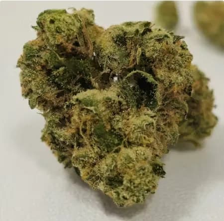 Citrus Blossoms by High Supply