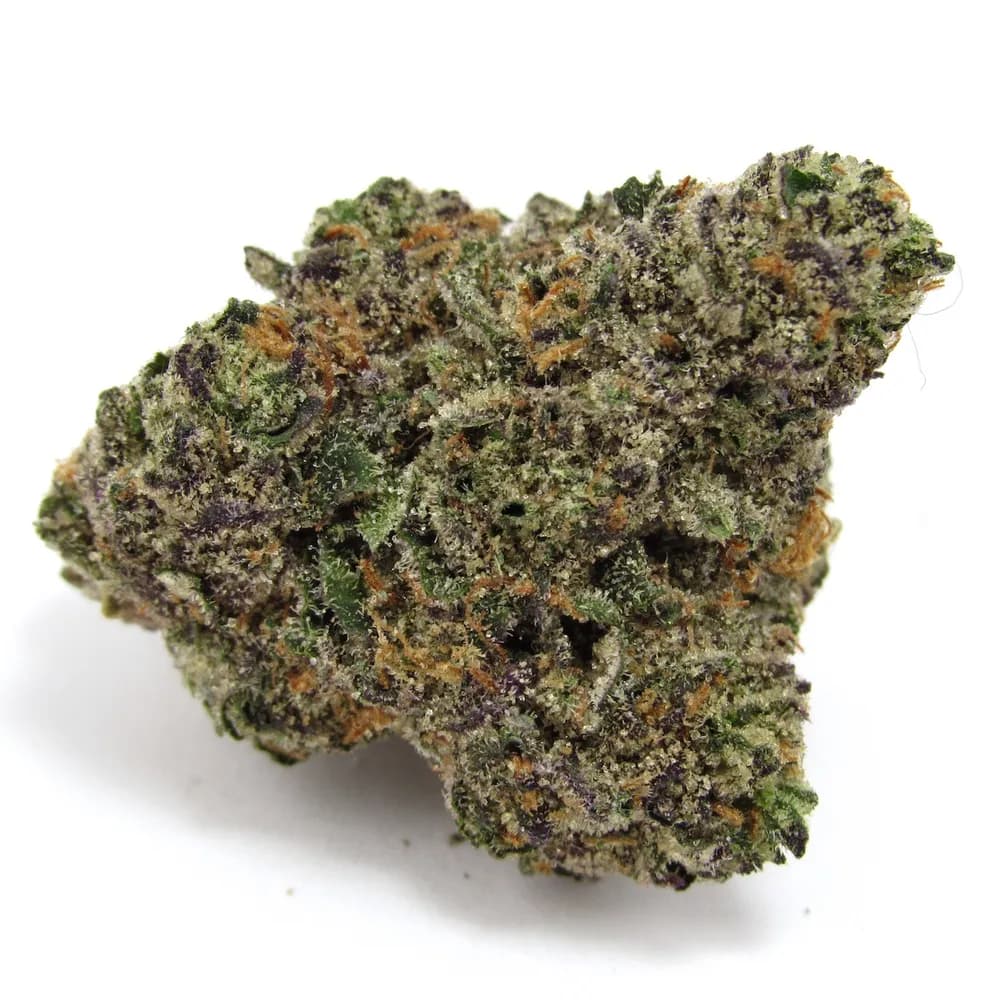 Gastropop by High Supply