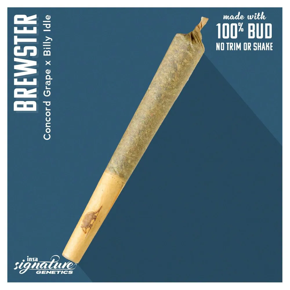 Brewster Pre-Roll by Insa