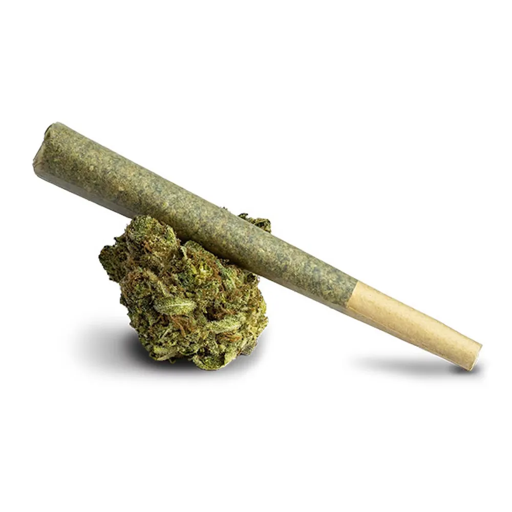 C.R.E.A.M Pre-roll by Insa