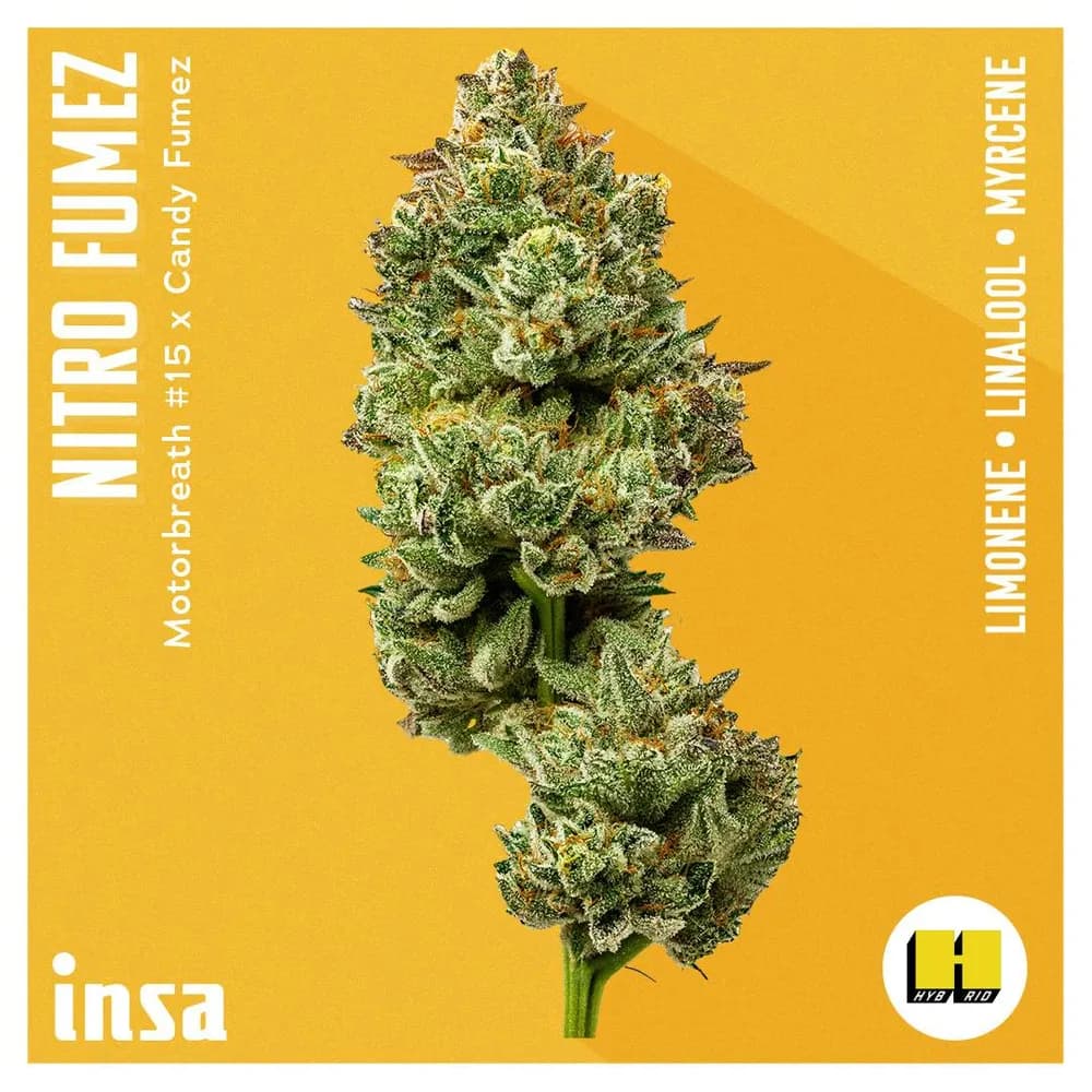 Nitro Fumez by Insa