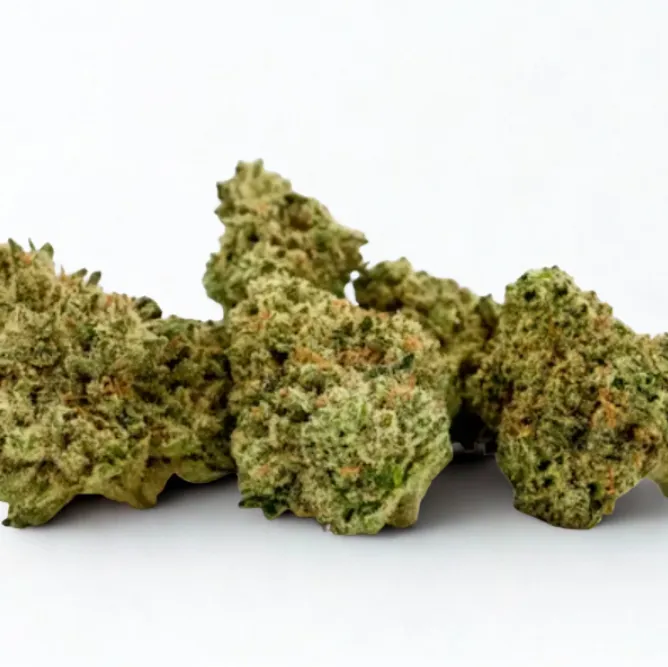 Cherry AK- Jungle Cake by MAC