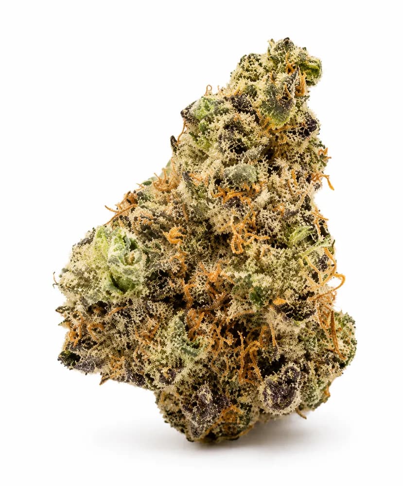 Frosty Cleopatra by MAC