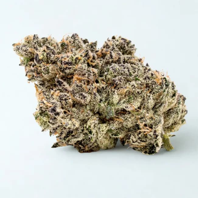 Grape Zorilla Small Nugs by MAC