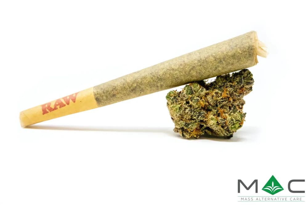Rainbow Road Pre-roll by MAC