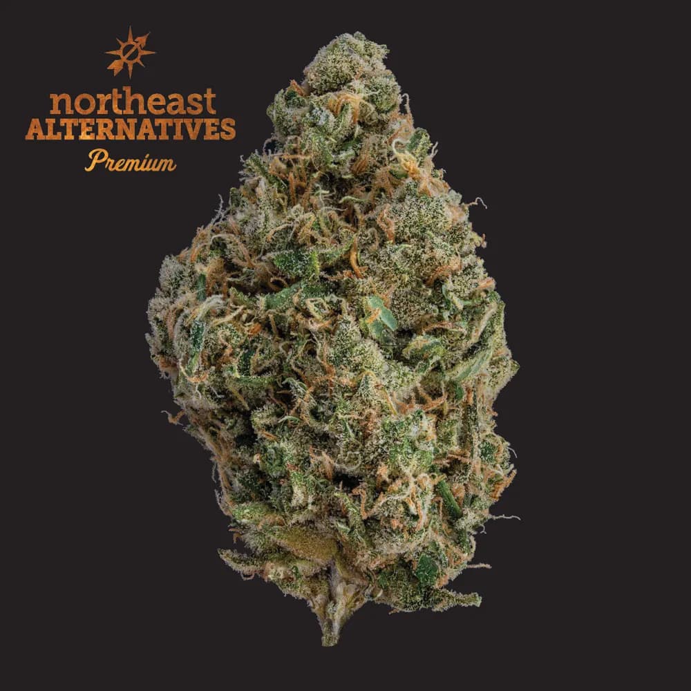 Durban Poison by NEA