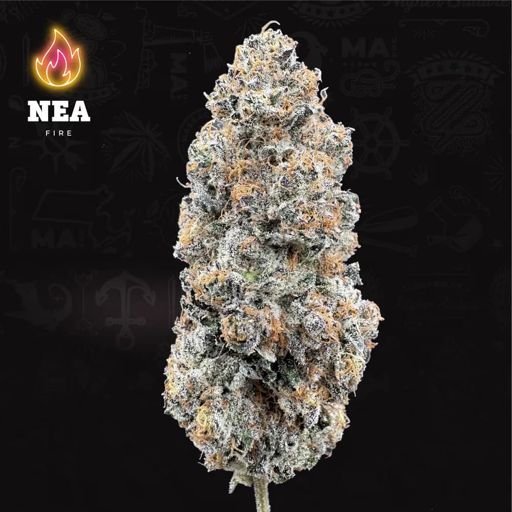 Sherbert Honey Pre-roll by NEA, pre-roll