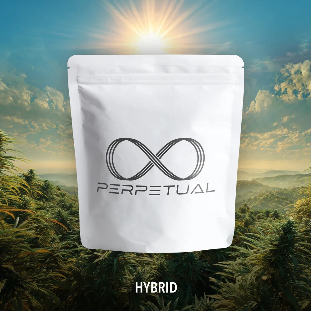 Italian Apple #2 by Perpetual