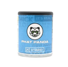Unicorn Shoes by Phat Panda