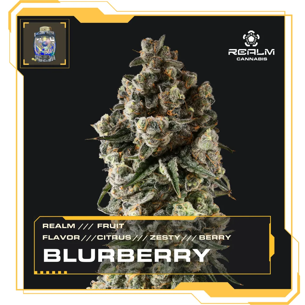 Blurberry by Realm