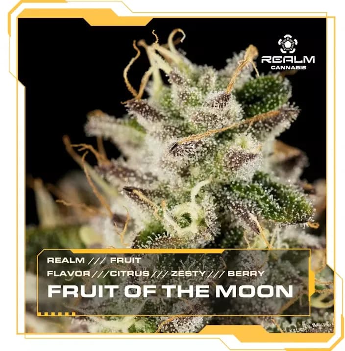 Fruit of the Moon by Realm, flower