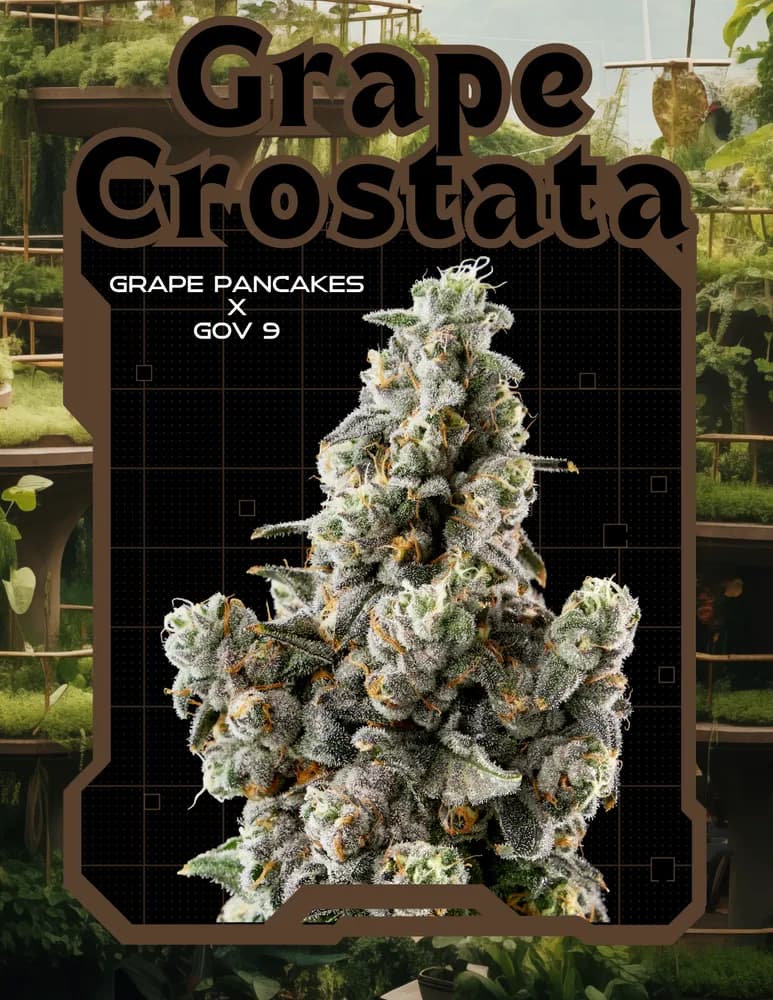 Grape Crostata by Realm