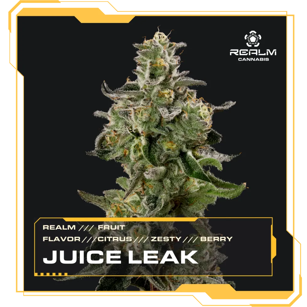 Juice Leak by Realm