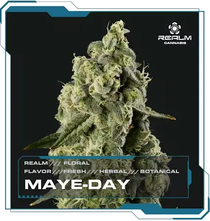 Maye Day by Realm