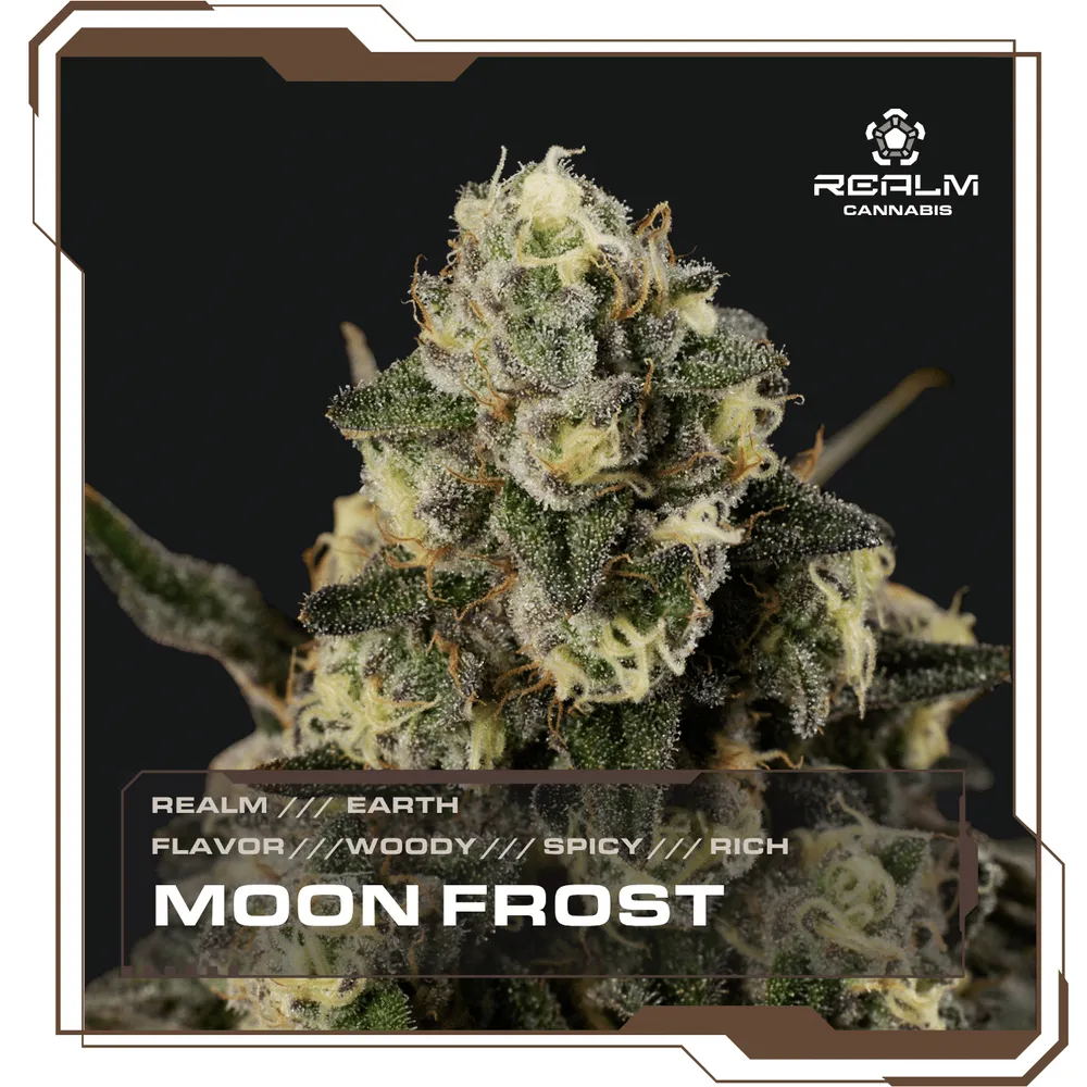 Moon Frost by Realm