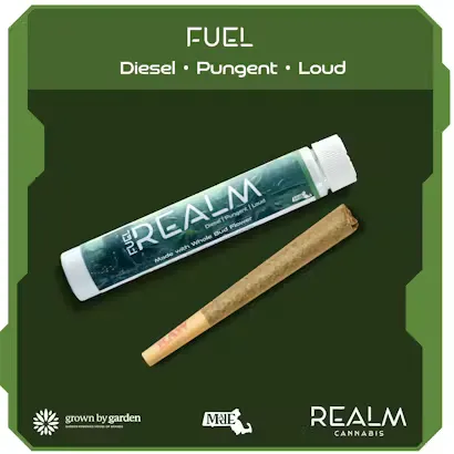 Mr. Anderson Pre-roll by Realm