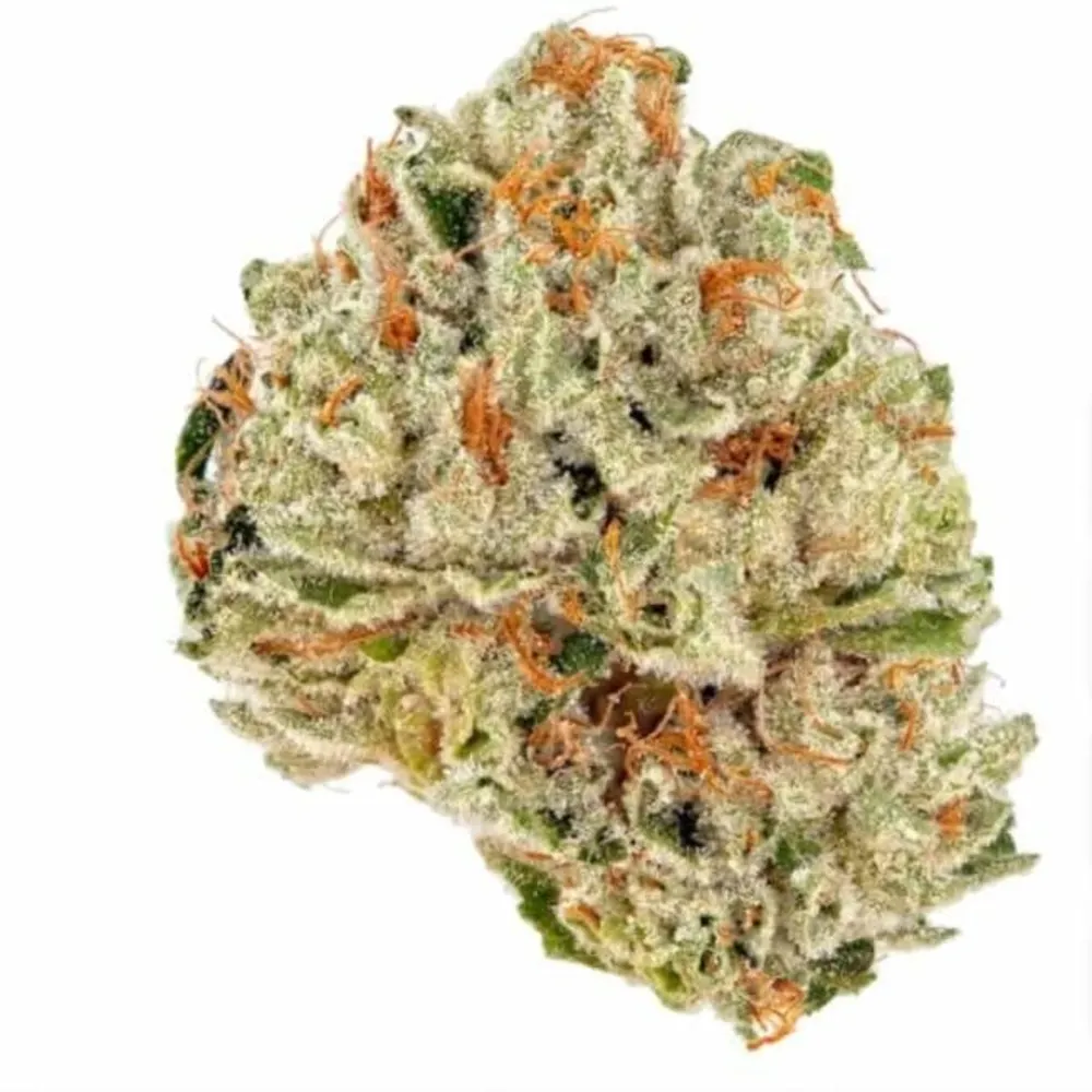 Socrates Sour by Resinate