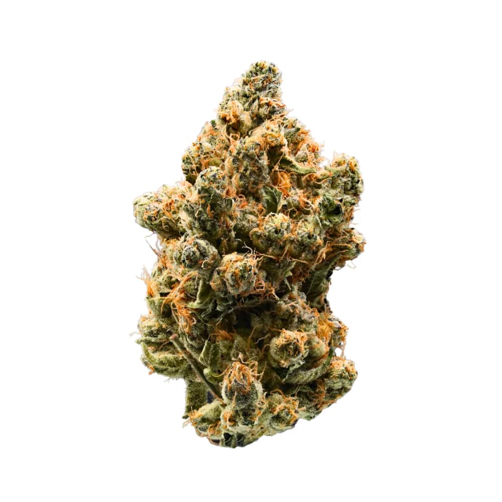 Gelato Punch by Root & Bloom