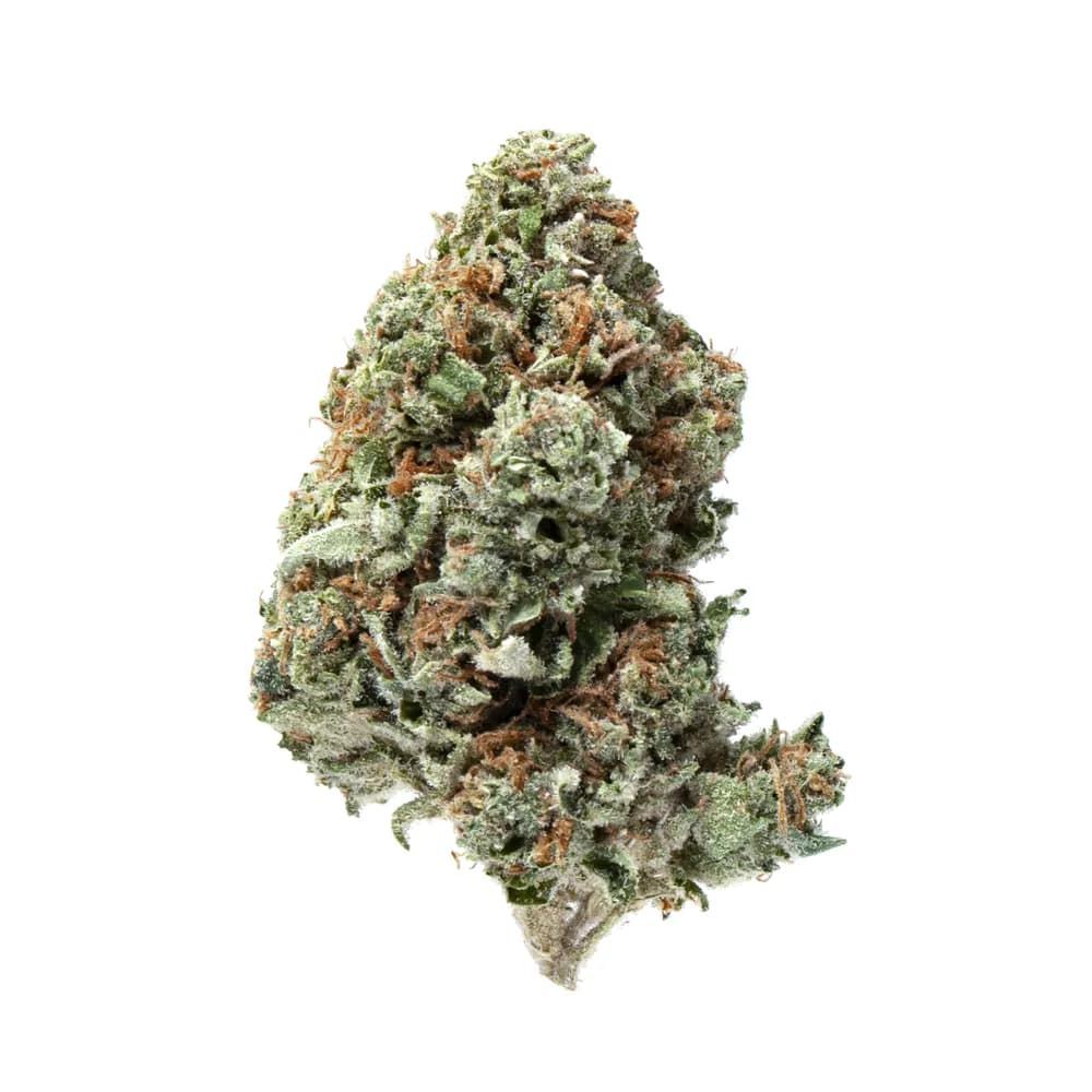 Afternoon Delight #4 by RYTHM