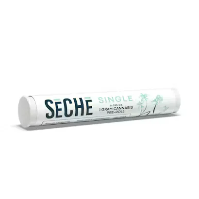 Apocalypto Pre-roll by SeCHe