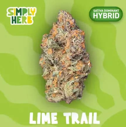 Lime Trail by Simply Herb