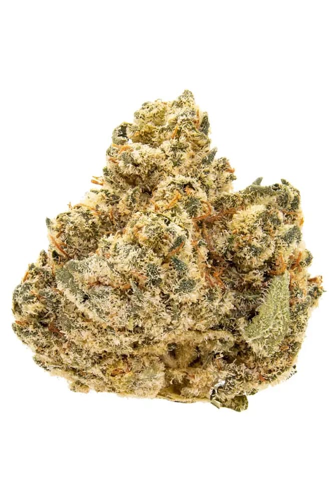 PK Crasher by Simply Herb