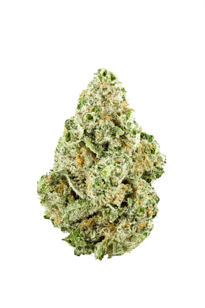 Pinky's Advice by Smyth Cannabis