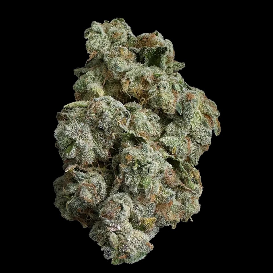 Frosted Jungle by Strane