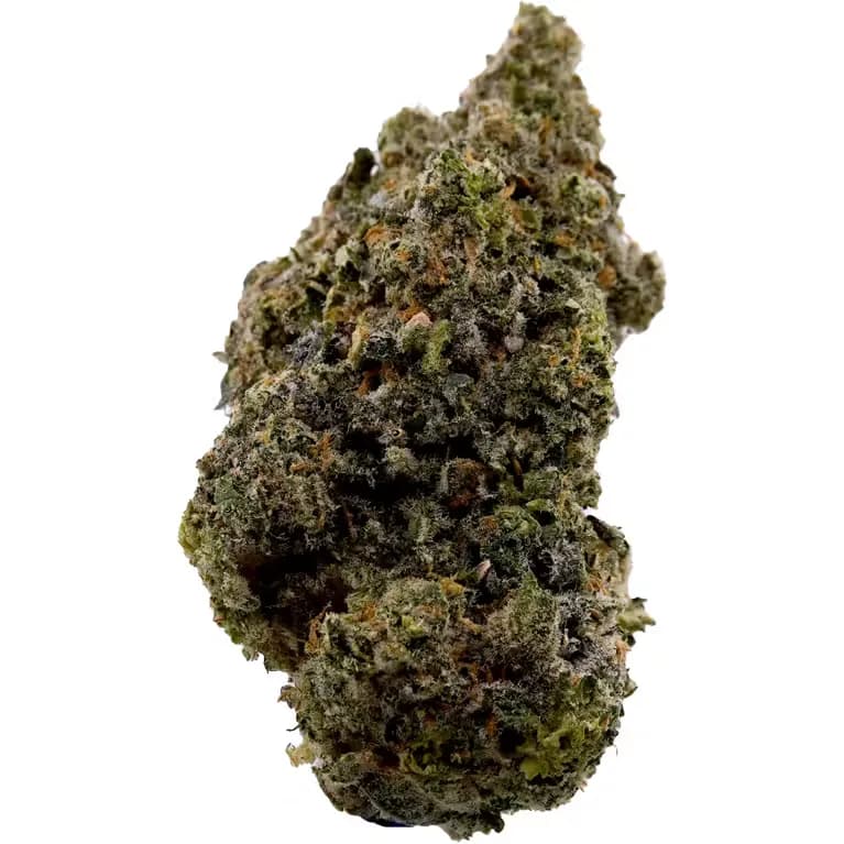 Juicee J by Strane, flower